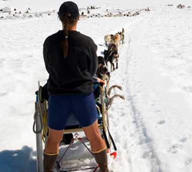 Person steering dog sled across the snow