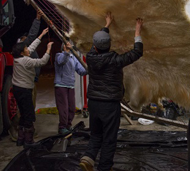Group of Inuit people working on animal hide