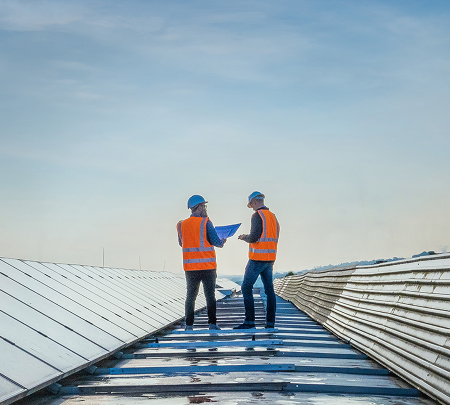 Two technicians talking between long rows of solar panels.