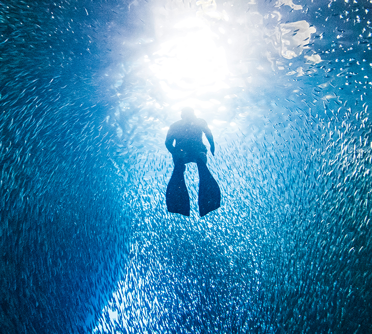 Silhouette of diver swimming through school of fish in underwater cave into bright light