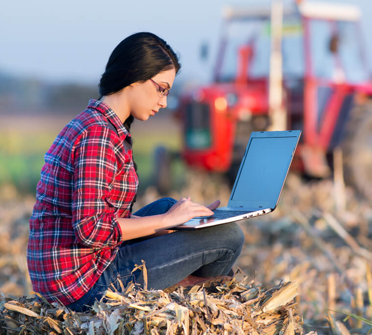 Woman with laptop in a corn field