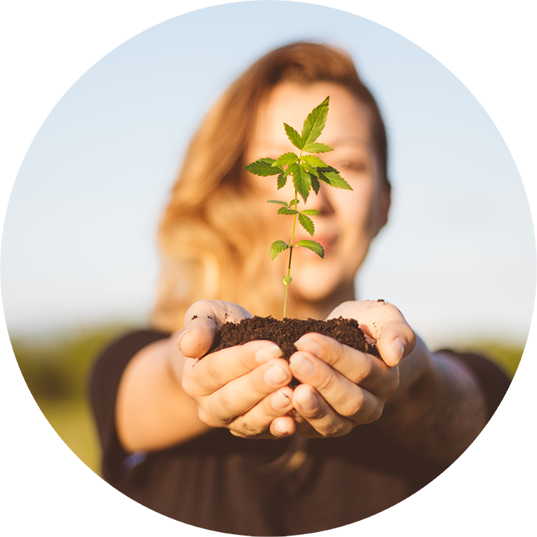 Woman with hands stretched out holding earth with a cannabis plant sprouting out