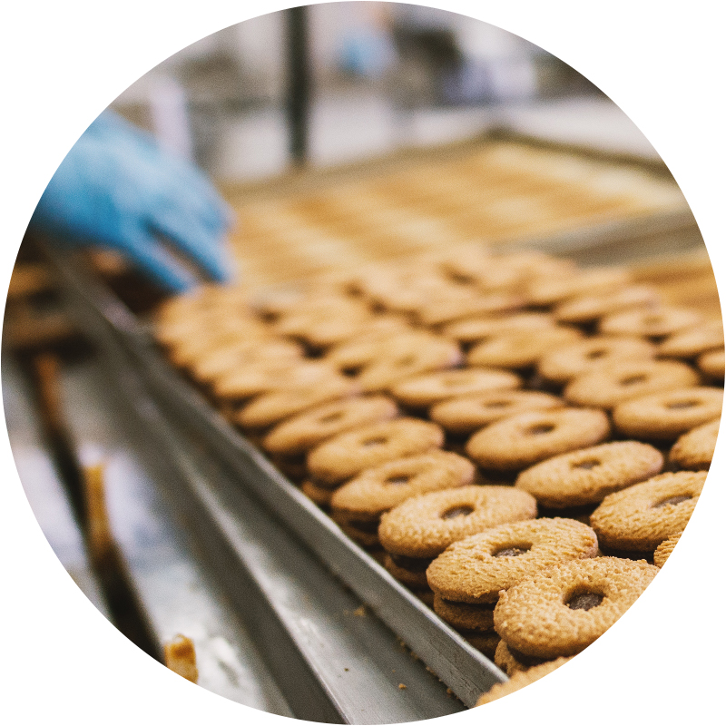 Worker in food manufacturing plant sorting cookies on tray