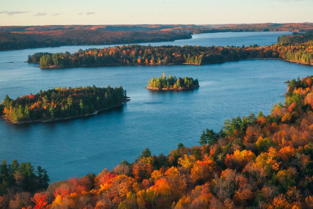 Aerial view of river and islands covered in trees in the autumn