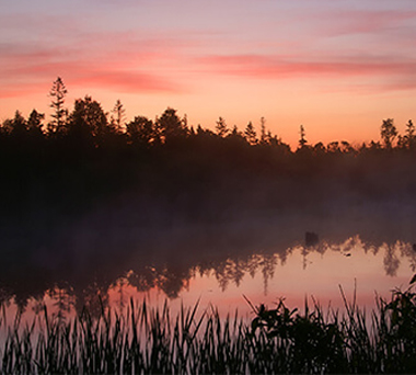 Edge of a forested lake just after sunset