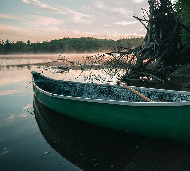 green canoe pulled up on shore of a lake